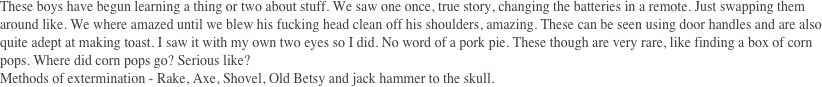 These boys have begun learning a thing or two about stuff. We saw one once, true story, changing the batteries in a remote. Just swapping them around like. We where amazed until we blew his fucking head clean off his shoulders, amazing. These can be seen using door handles and are also quite adept at making toast. I saw it with my own two eyes so I did. No word of a pork pie. These though are very rare, like finding a box of corn pops. Where did corn pops go? Serious like? 
Methods of extermination - Rake, Axe, Shovel, Old Betsy and jack hammer to the skull.  
