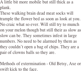 A little bit more mobile but still thick as a plank. 
These walking brain dead meat socks will trample the flower bed as soon as look at you. No craic what so ever. Will still try to munch on your melon though but still their as slow as slow can be. They sometimes infest in large numbers. No need to be alarmed by them as they couldn’t open a bag of chips. They are a pair of clowns balls so they are. 
 
Methods of extermination - Old Betsy, Axe or swift kick to the face. 